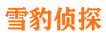 青田市场调查